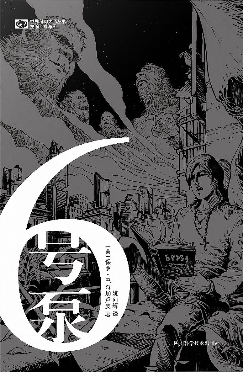 Cover of 6号泵