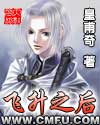 Cover of 飞升之后